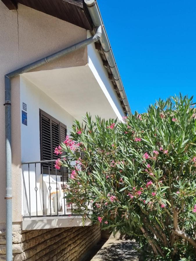 Apartman Frketic Жаборич Екстериор снимка